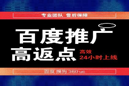 揭秘推广竞价：实战案例深度剖析