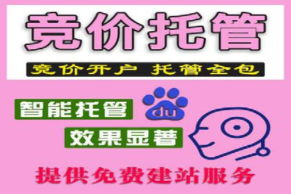 竞价代运营成功案例分享：提升广告点击率的关键