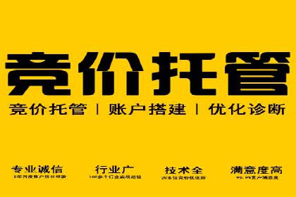 Sem优化公司案例：快速提升网站排名